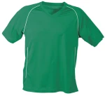 JAMES &amp; NICHOLSON TEAM SHIRT