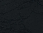 Cocoon Sort - Cocoon Black - ORACAL 975CO-070