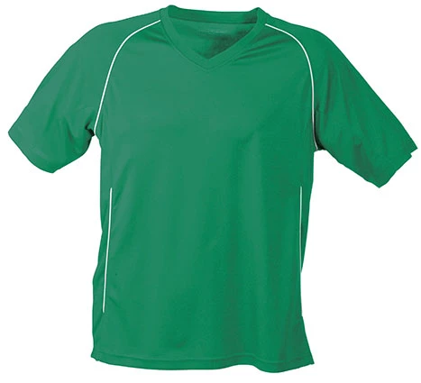 JAMES &amp; NICHOLSON TEAM SHIRT
