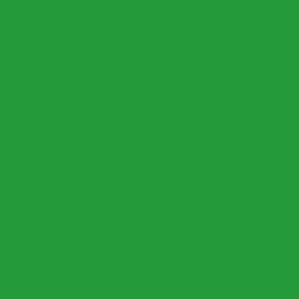 STAHLS'CAD-CUT SportsFilm - Lysegr&oslash;n - Light green - 422