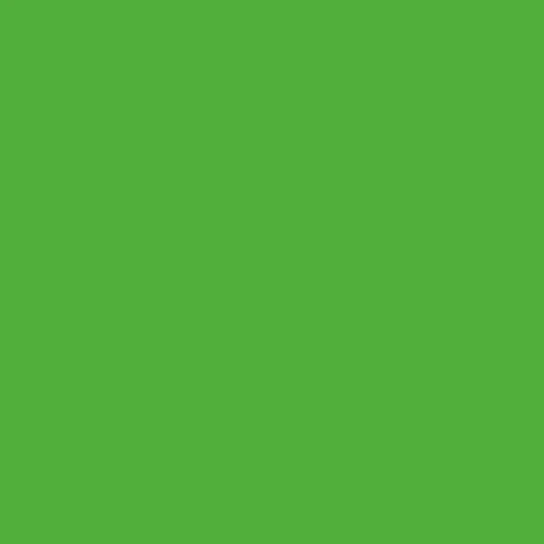 STAHLS' CAD-CUT SportsFilm Neon - Gr&oslash;n - Neon Green - 401