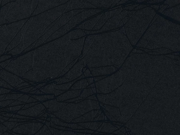 Cocoon Sort - Cocoon Black - ORACAL 975CO-070
